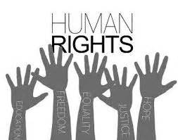 What is Fundamental Rights - Assignment Point