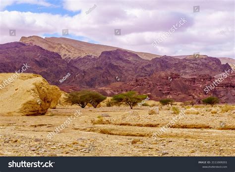 24,953 Nature Reserve Israel Images, Stock Photos & Vectors | Shutterstock