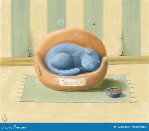 Cat is Sleeping in it`s Basket Stock Illustration - Illustration of holiday, beautiful: 193235013