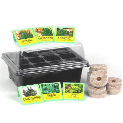 Kitchen Herb Garden Seed Starter Kit - Walmart.com