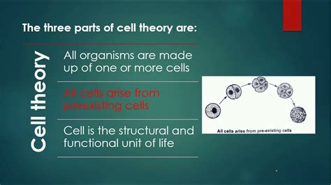 Cell Theory | Schleiden and Schwann | Biology - YouTube