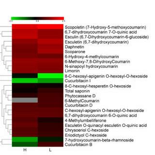 Cluster diagram of mevalonate pathway metabolic components and total... | Download Scientific ...