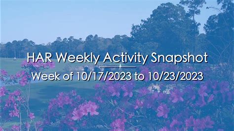 Weekly Activity Snapshot - Week of 10/17/2023 to 10/23/2023 - YouTube