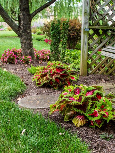 Make Your Home Garden Look Even More Beautiful With A Flower Bed Coleus Garden Design – Home ...