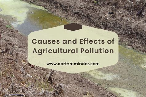 Causes and Effects of Agricultural Pollution | Earth Reminder