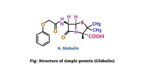 Protein Molecule Diagram