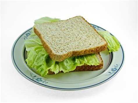 Lettuce sandwich Free Photo Download | FreeImages