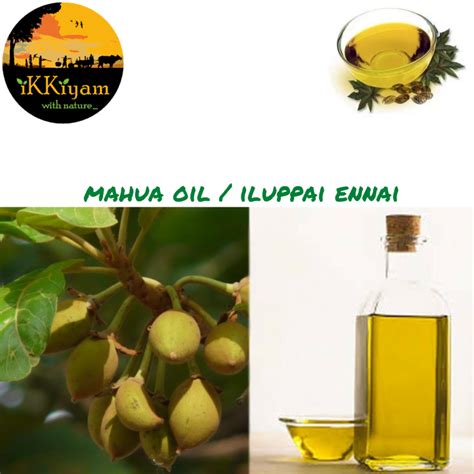 Mahua Oil (Iluppai oil) 100ml | Ammisamayal - Healthy Food Products