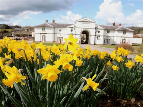 National Botanic Garden of Wales | VisitWales