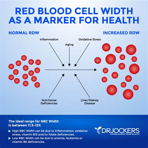 Top 12 Inflammatory Lab Markers and Optimal Ranges