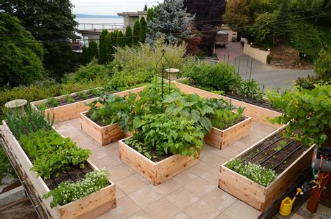 Wood-Framed vs Mounded Bed: Navigating Your Garden Landscape