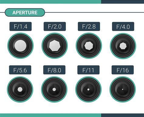 What is APERTURE? Understanding aperture in photography