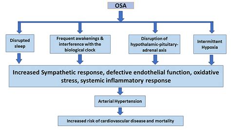 Effectiveness of Continuous Positive Airway Pressure in Treating Hypertension in Obstructive ...