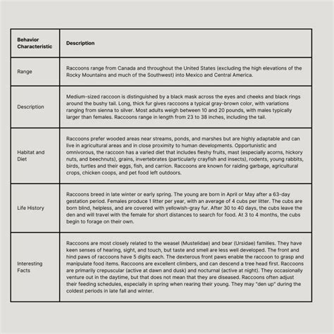 Top 5 Raccoon Behavior Characteristics - Habitat, Diet, Social Behavior ...