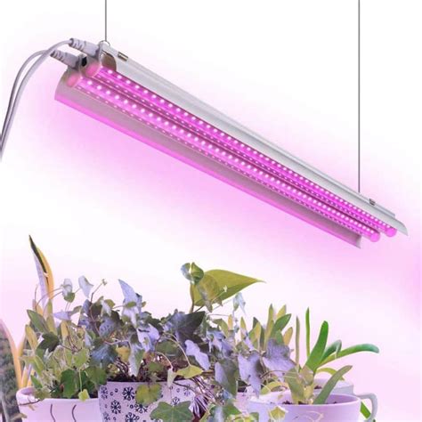 Top 10 Best LED Grow Lights For Indoor Plants in 2024 - The Best Product