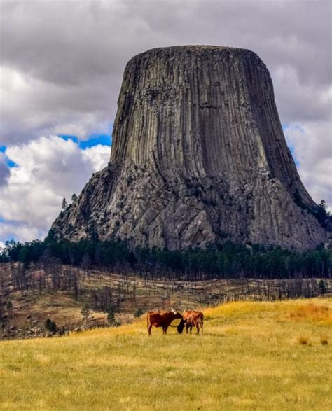 Rock Climbing Devils Tower With a Guide | 57hours