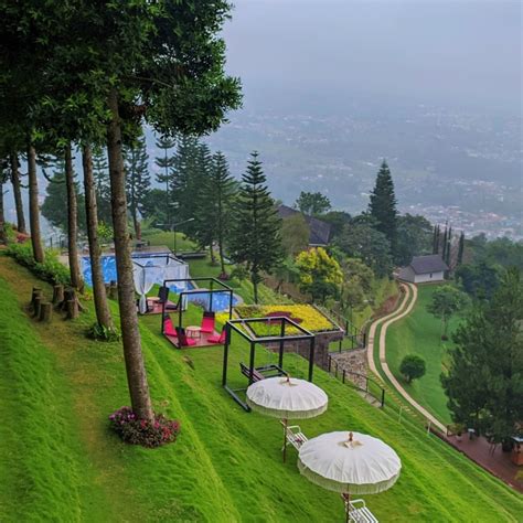 Lokasi & Harga Menu Damar Langit Resort Bogor di Puncak Cisarua