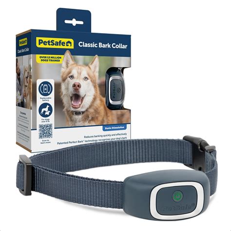 PetSafe Waterproof Basic Static Bark Control Training Dog Collar - Chewy.com