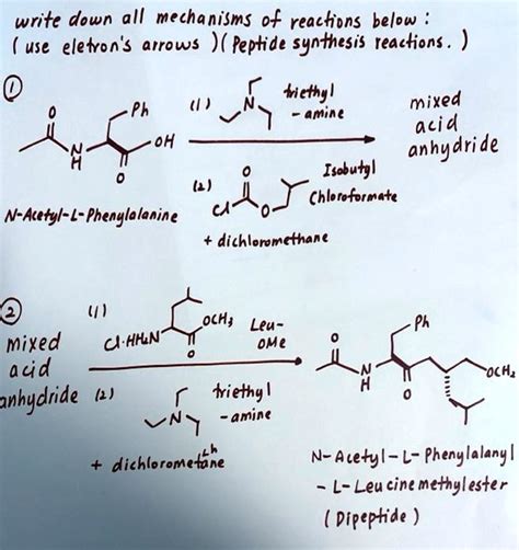 SOLVED: Write down all mechanisms of reactions below using electron arrows (Peptide synthesis ...