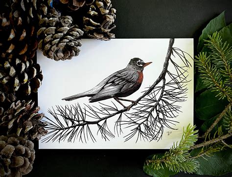 Hand Drawn Pen and Ink Bird Greeting Cards 3 Pack Contains a Robin ...