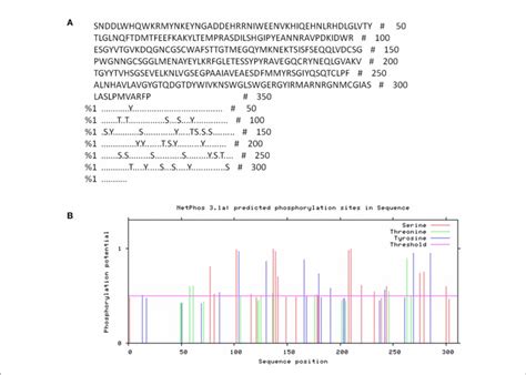 FIGURE E NetPhos server output for FhCatLL phosphorylation sites. (A)... | Download Scientific ...