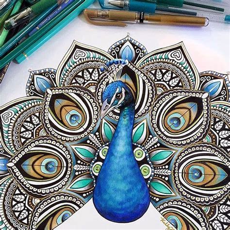 Peacock Drawing By Kellylahar - Full Image