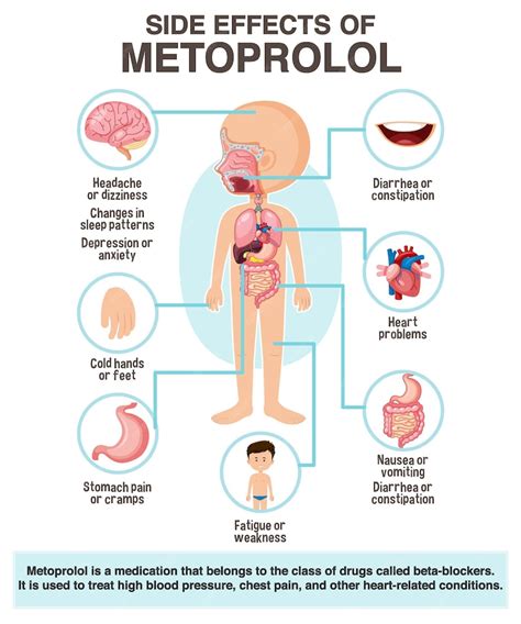 Premium Vector | Human anatomy diagram cartoon style of metoprolol side ...