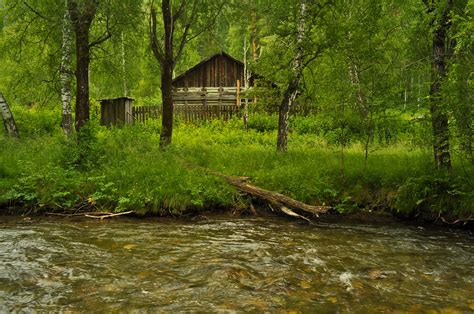 The House In The Forest Free Stock Photo - Public Domain Pictures