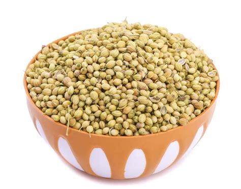 Dry Coriander stock photo. Image of indian, freshness - 142694740