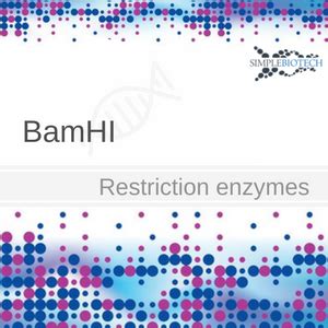 BamHI – Simplebiotech Labware