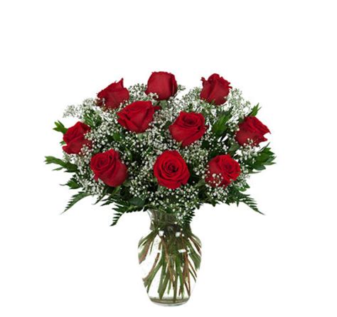 10 Red Roses #RS10AA • Canada Flowers