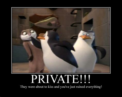 Penguins Of Madagascar Sneak Peek | Penguins of madagascar, Penguins, Madagascar