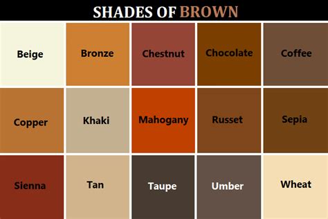 Different Shades of brown | Best Hair Beauty Salon Art-Noise Blog