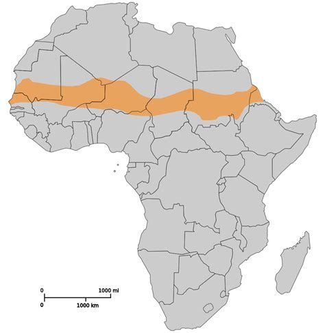 Increased vegetation boosts rainfall in the Sahel, researchers find