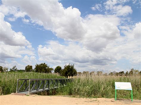 Narromine, NSW - Aussie Towns