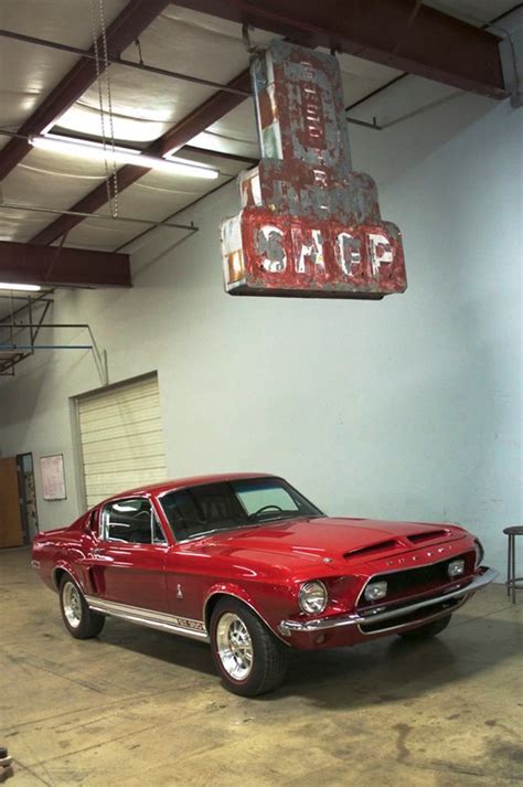 Shelby | Gas monkey garage, Gas monkey, Monkey garage