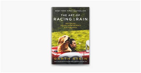 ‎The Art of Racing in the Rain on Apple Books