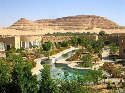 From Cairo: 3-Day Museum, Fort & Desert Tour at Siwa Oasis – Saudi Arabia Tours