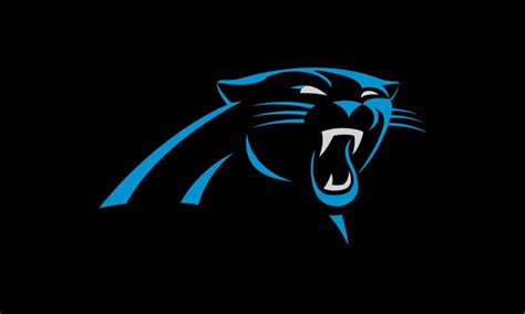Carolina Panthers Logo Design – History, Meaning and Evolution | Turbologo