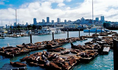 Take the San Francisco Ferry to Fisherman's Wharf