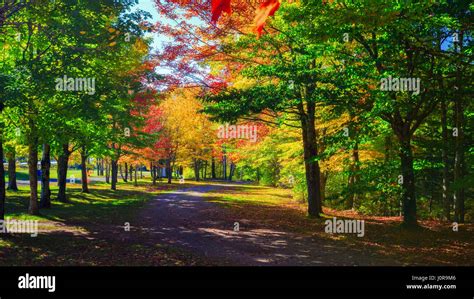 Brilliant fall foliage in rural Nova Scotia, Canada Stock Photo - Alamy