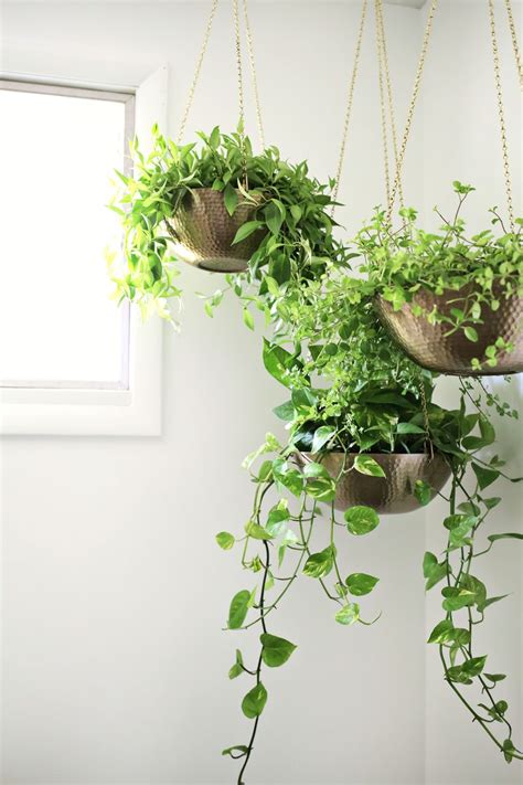 Easy Hanging Planter DIY – A Beautiful Mess