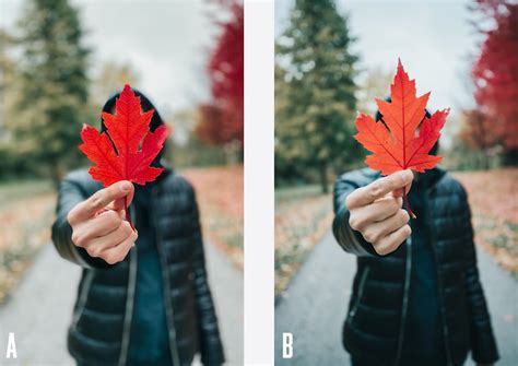 Check out this iPhone 11 Pro vs Canon DSLR photoshoot | iMore