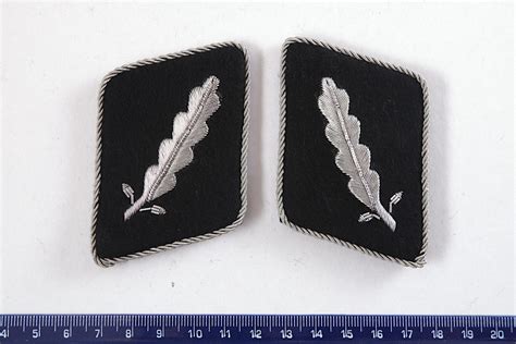 WW2 German SS Standartenfuhrer Collar Tabs | Blitz Militaria