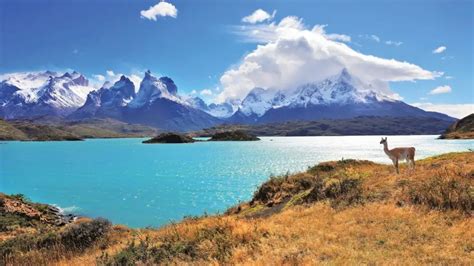 Top Unbelievable Attractions and Things To Do In Chile - museuly