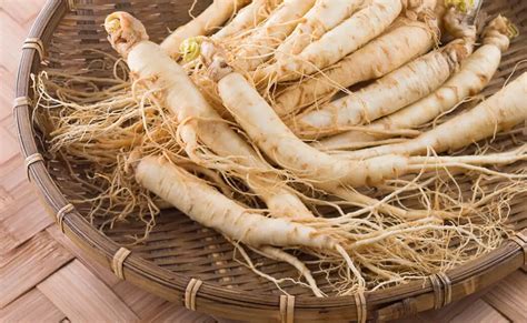 How to Grow Ginseng - Plant Instructions