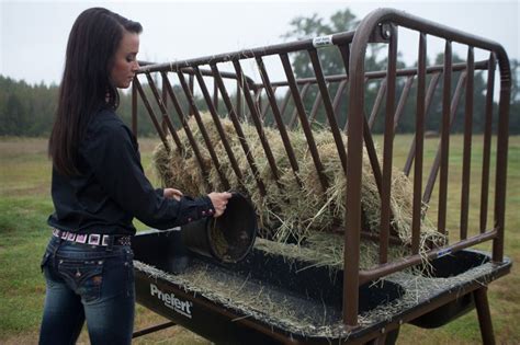 Pasture Horse Feeder | Horse feeder, Hay feeder, Horses