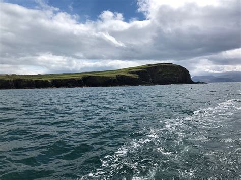 Dingle Dolphin Boat Tours - 2019 All You Need to Know BEFORE You Go ...