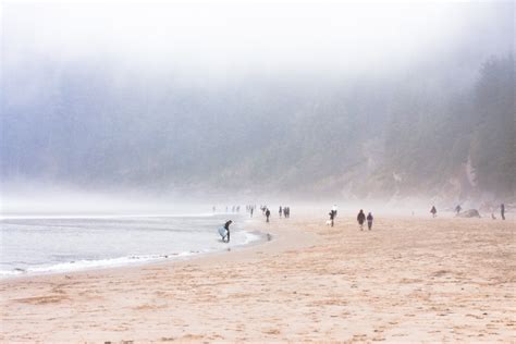 Pacific City Surfing 2024: Oregon’s Untapped Paradise