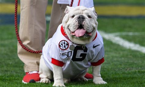 Georgia Football: Downloadable 2021 Bulldogs football schedule.